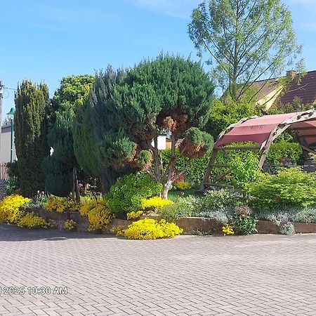 Ferienwohnung Bienwald Mit Pool Fuer 4 - 6 Personen Mit 3 Schlafzimmern Grobitz Exteriér fotografie