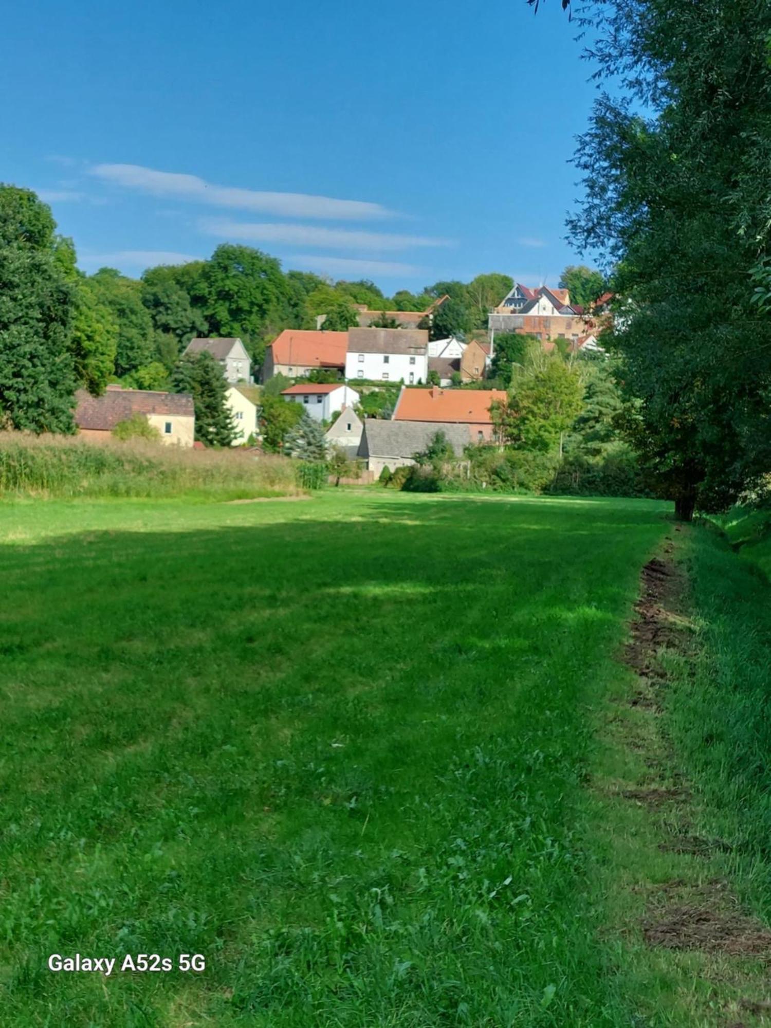 Ferienwohnung Bienwald Mit Pool Fuer 4 - 6 Personen Mit 3 Schlafzimmern Grobitz Exteriér fotografie